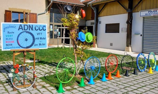 Journée d'accueil des nouveaux devant la mairie : des roues de vélo peintes en vert, bleu, rouge et noir, aux couleurs des groupes de niveau.