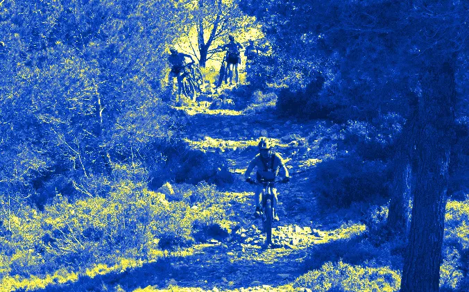 Une vététiste descend un sentier caillouteux dans une pinède, trois autres suivent plus haut.